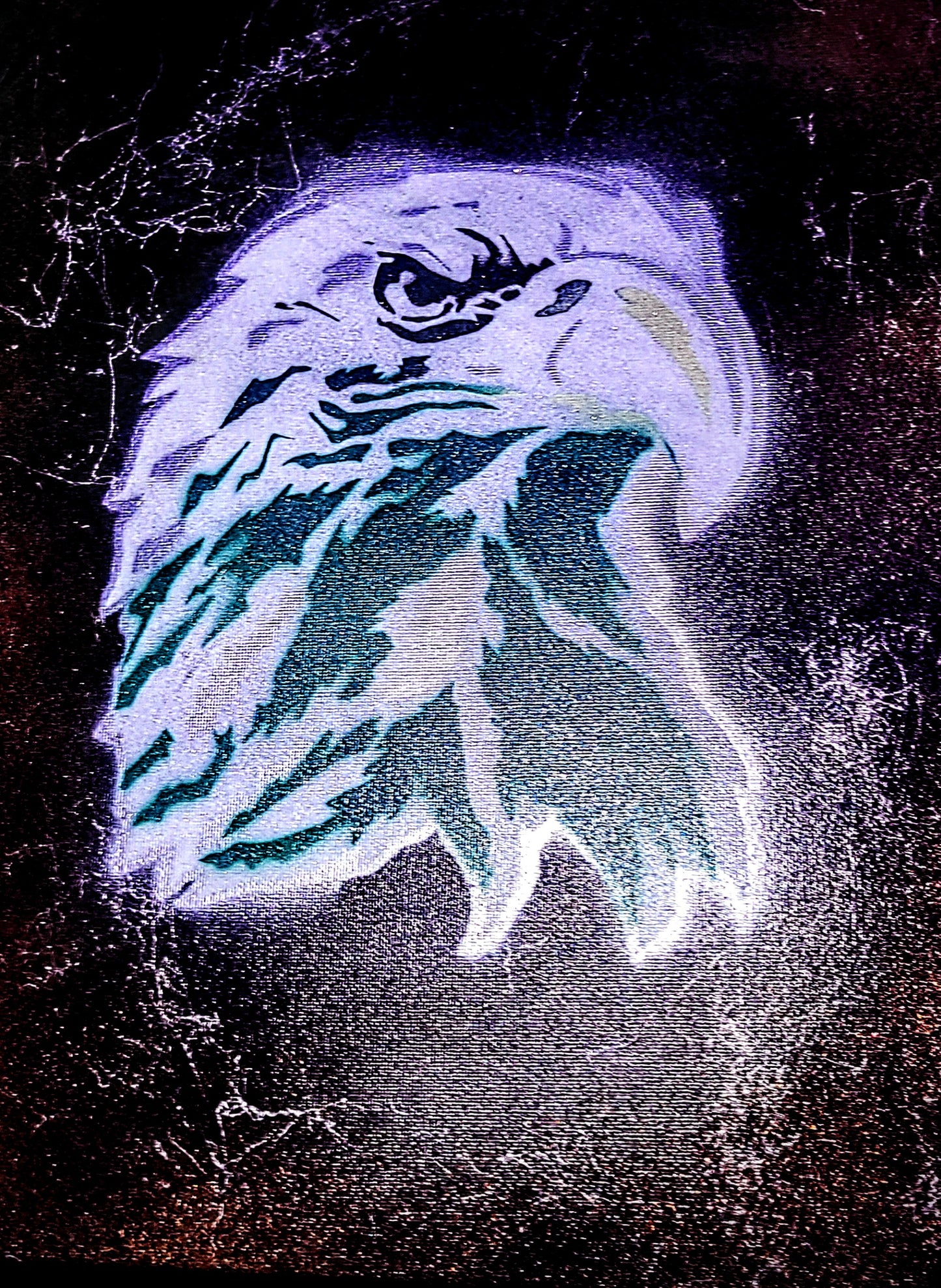 Eagles wood project. 3'×5' finished plywood. Both sides of project are painted.